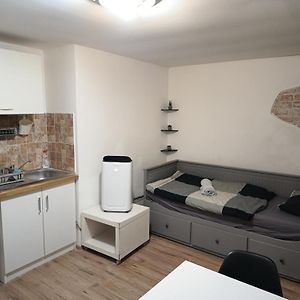 Appartement met een Slaapkamer
